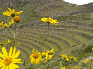 Our Ideal One Day Itinerary for Pisac in the Sacred Valley.