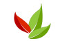 Best of Peru Travel Logo Leaves Best of Peru Travel Logo leaves