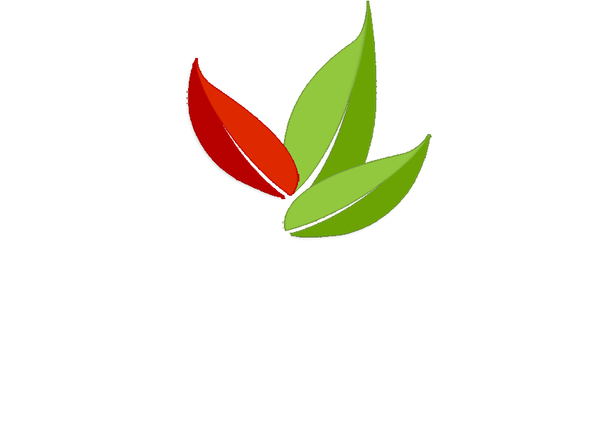 Best of Peru Travel